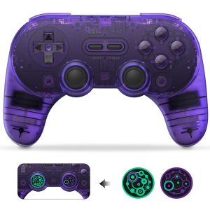 https://neeks.cl/wp-content/uploads/2022/08/8bitdo-sn30-pro-purple-300x300.jpeg